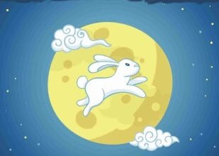 صورة أرنب فى القمر